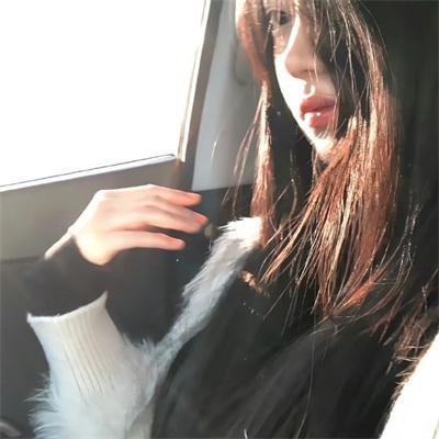 几度菊花香